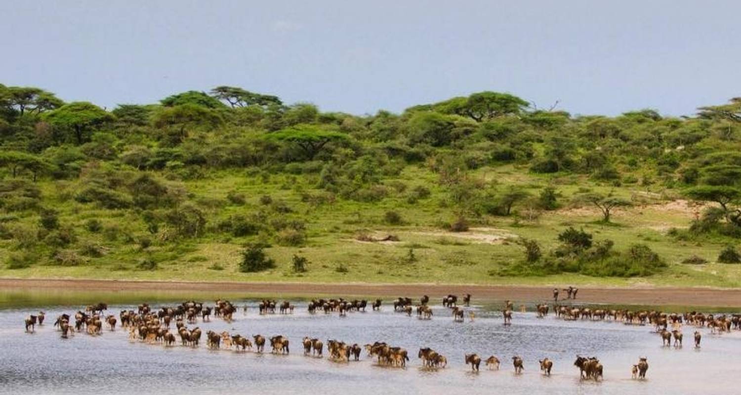 ndutu luxury