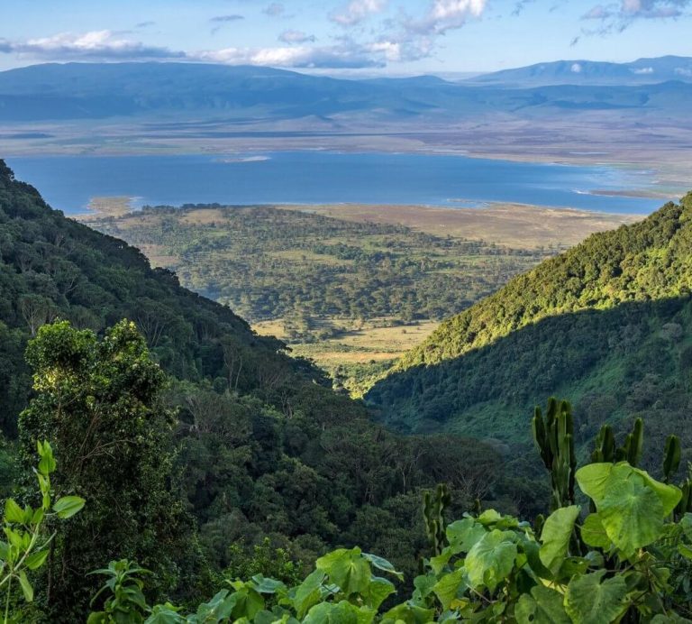 ngorongoro