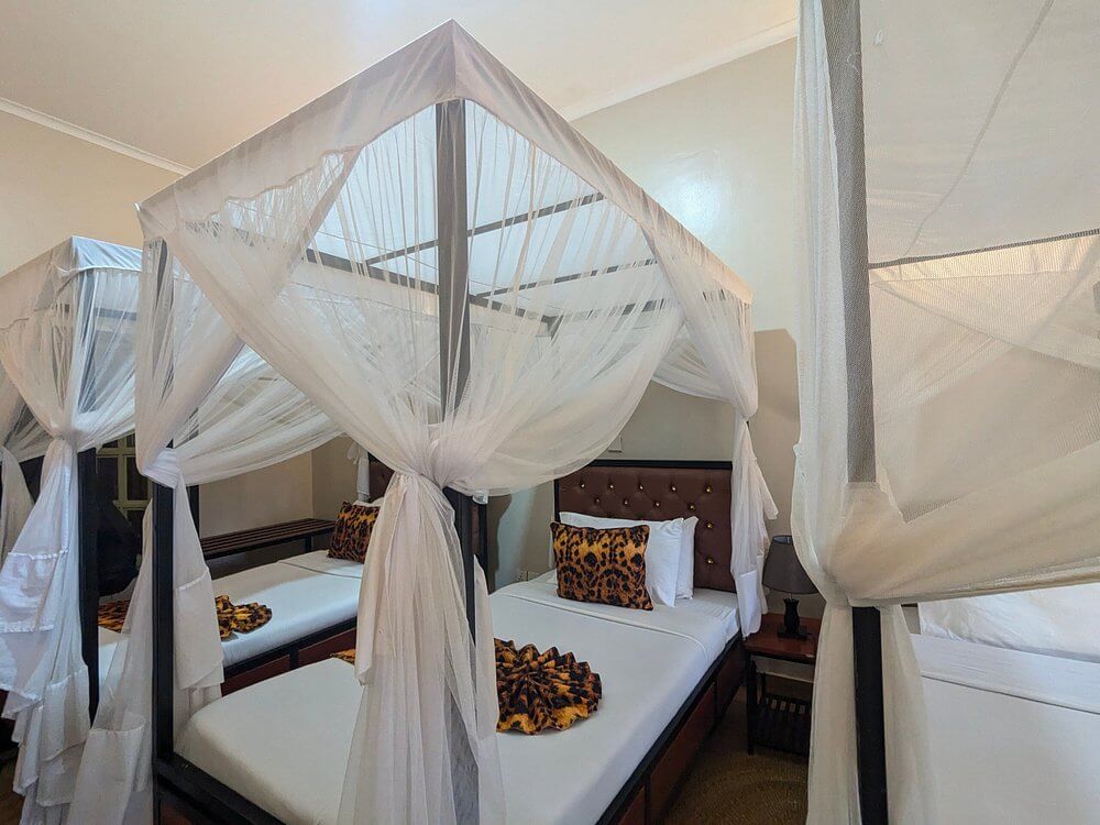 Eileen’s Trees Inn