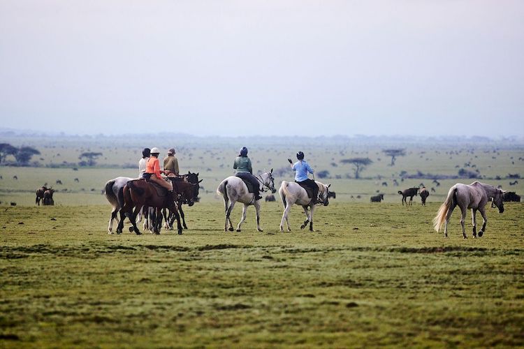 horse riding Experience