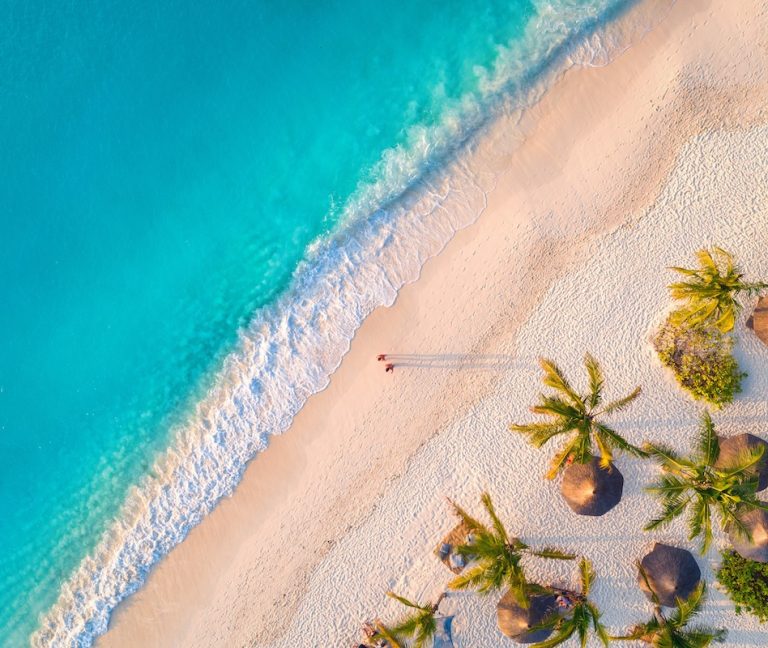 Explore The Essential Travel Guide to Zanzibar’s Beaches and Experiences