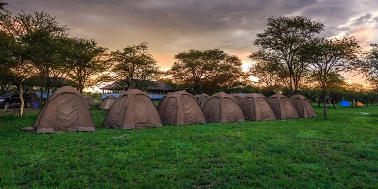 Major Difference Between Public and Private Camping Safaris in Tanzania?