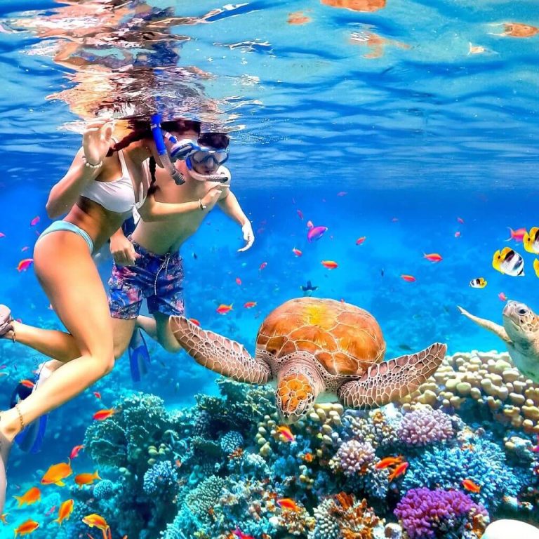 How Zanzibar’s Marine Ecosystem Shapes Snorkeling and Diving Experiences