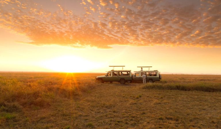 How cold early morning game drives really Are?