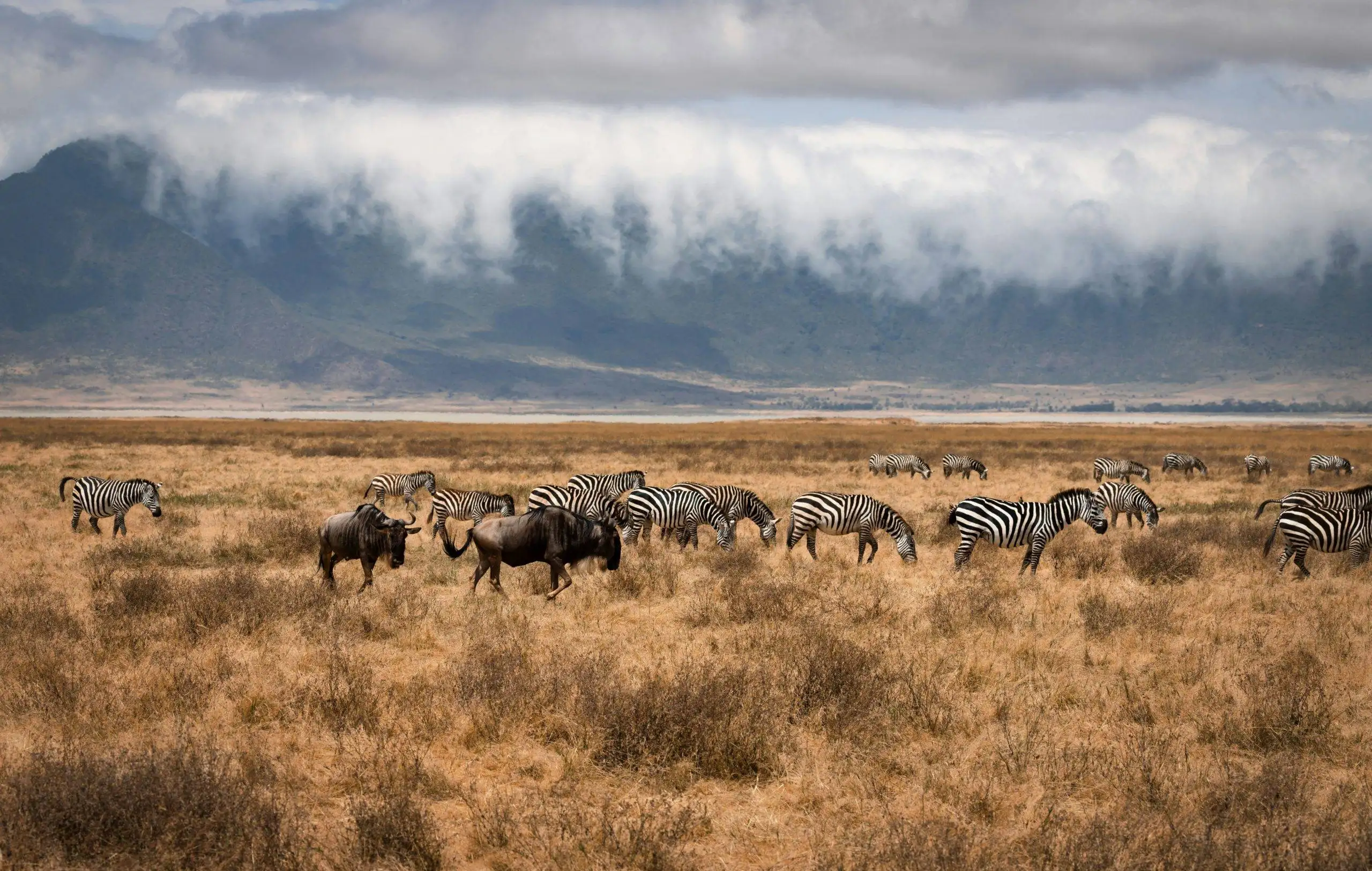 Ngorongoro-crater-tanzania-scaled