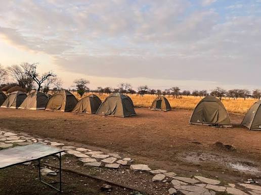 Seronera Public Campsite, Serengeti1
