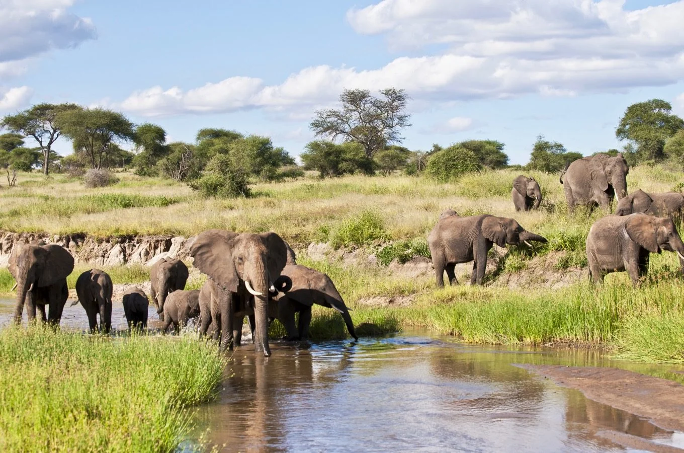Tarangire-national-park