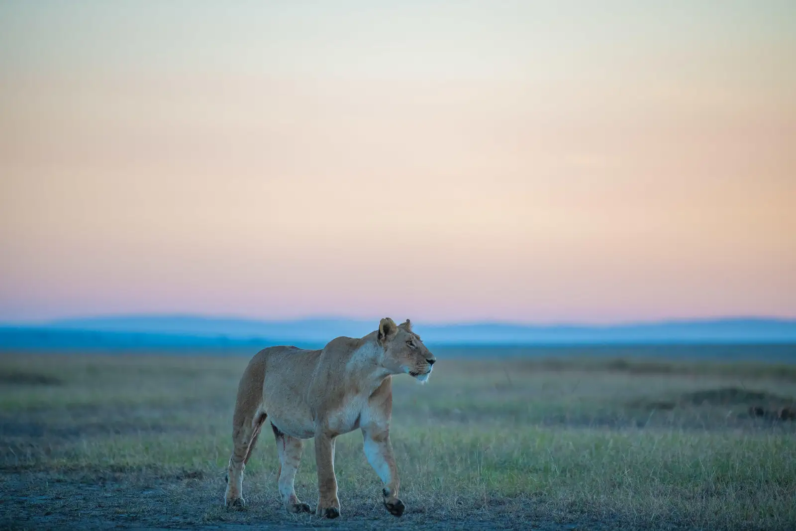 lake nakuru