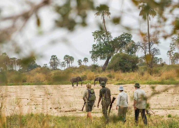 Hiking-_-Nature-Walks (1)