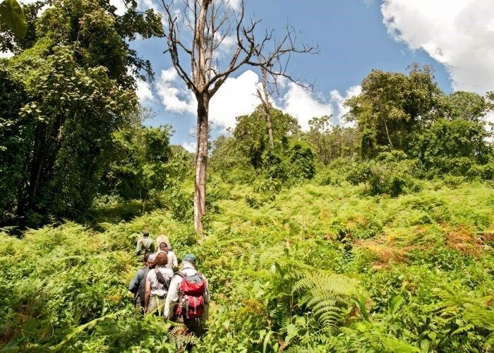 Landscapes and Lake Views (1)