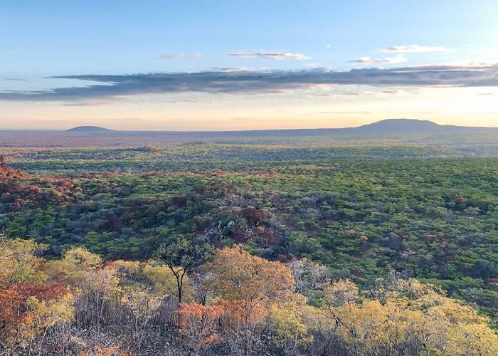 landscape of ruaha (1)